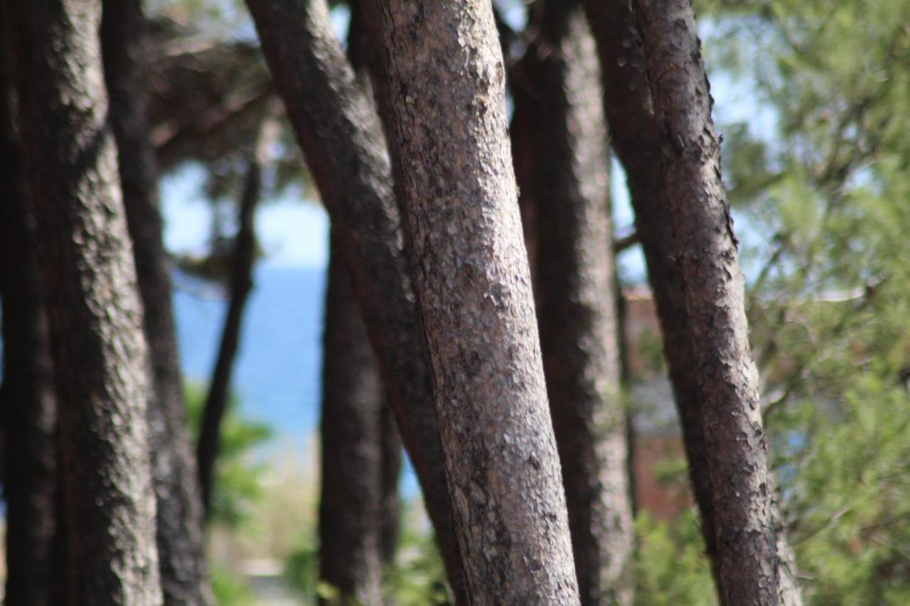 Park Hotel Le Dune Di Giovino Catanzaro Dış mekan fotoğraf