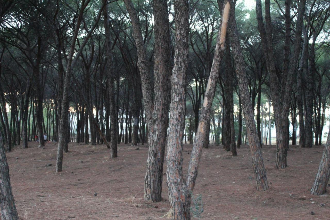 Park Hotel Le Dune Di Giovino Catanzaro Dış mekan fotoğraf
