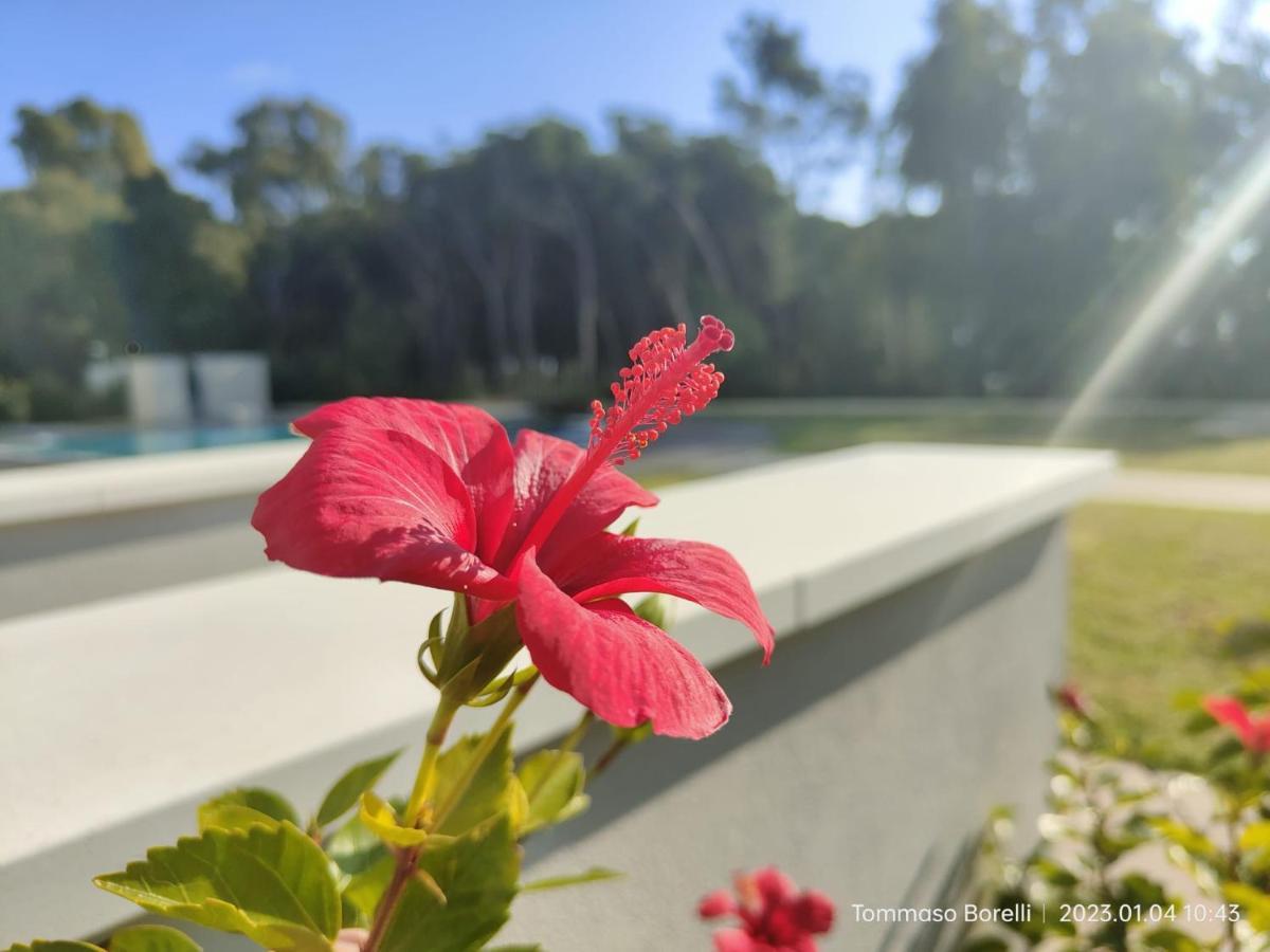 Park Hotel Le Dune Di Giovino Catanzaro Dış mekan fotoğraf